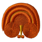 Bigoudène - Plume de paon - Orange et Jaune LE LAIN - Personnalisation à volonté